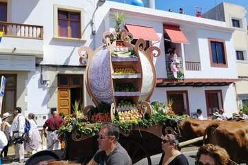 Romería ofrenda a la Virgen del Pino (Foto TA y Antonio Alí)